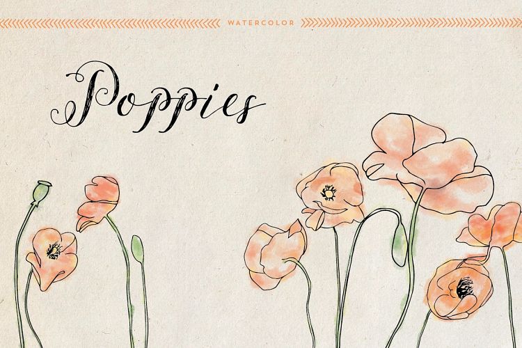 Watercolor Poppies
