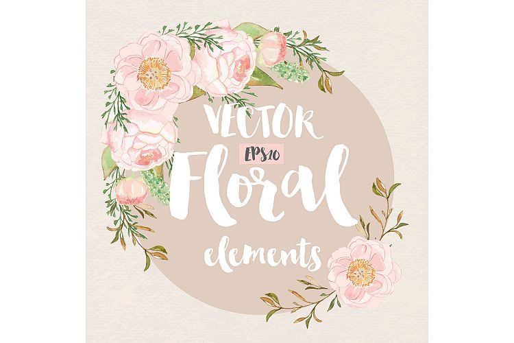 Vector Watercolor Rose Blush clipart