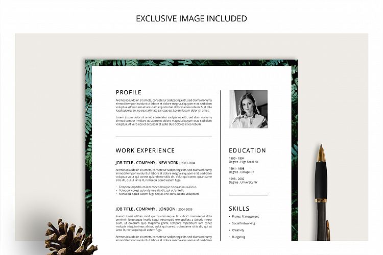 FERNS Resume/CV + Cover Letter
