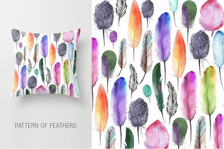 Watercolor bird, feathers, flowers