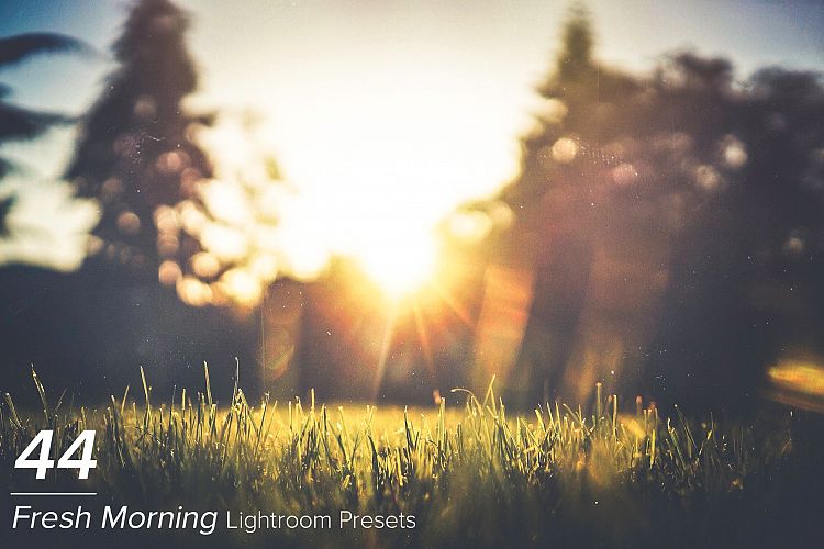 44 Fresh Morning Lightroom Presets