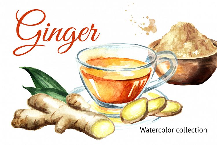 Ginger.Watercolor collection