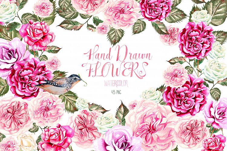 Hand Drawn Watercolor Flowers 43 PNG&VECTOR
