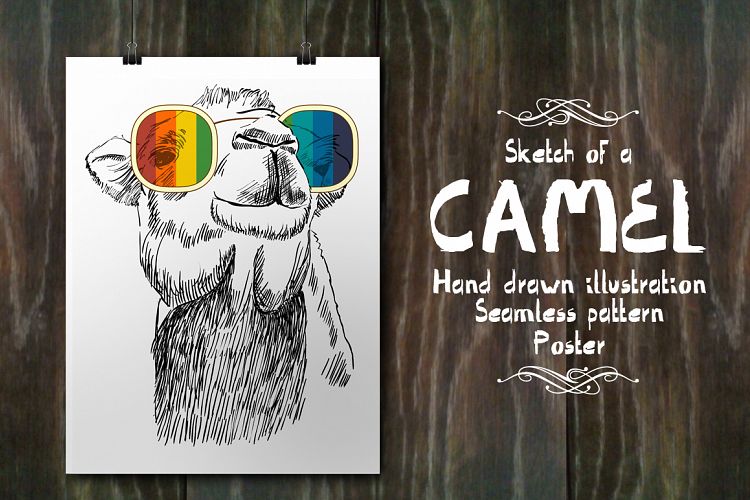 Fashion camel set