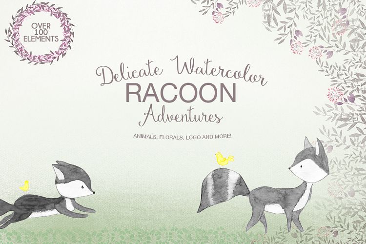 Delicate watercolor Racoon