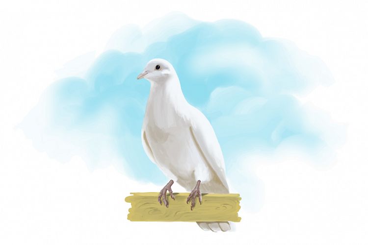 Dove hand painting vector