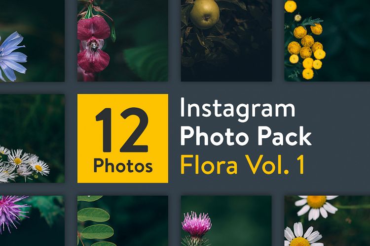 Download Free Nature Download Instagram Photo Pack Flora Vol 1 Free Design Resources