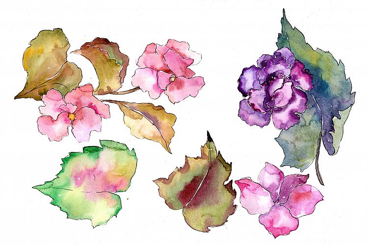 Tropical pink gardenia PNG watercolor flower set
