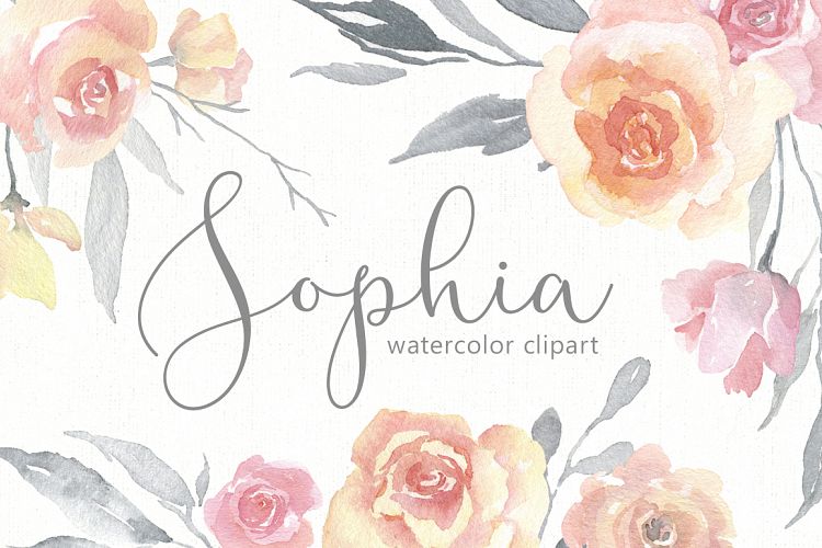 Light Gentle Watercolor Pink Flowers Roses PNG