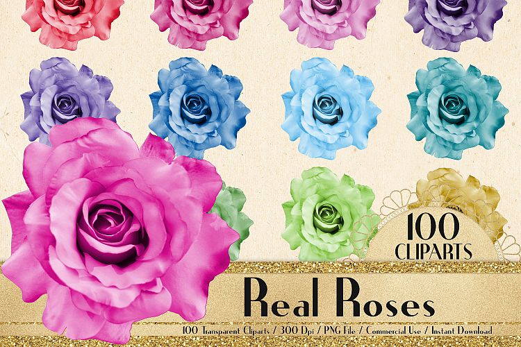 100 Real Roses Clip Arts, Romantic Valentine Scrapbook