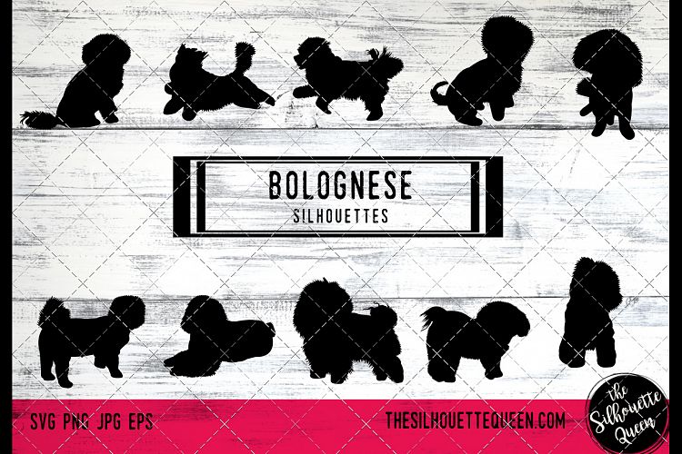 Bolognese Dog svg files cricut, silhouette clip art, Vector