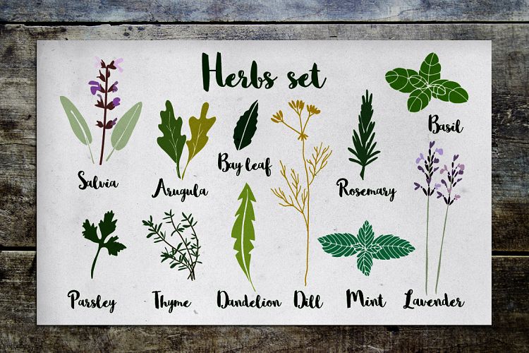 Herbs set