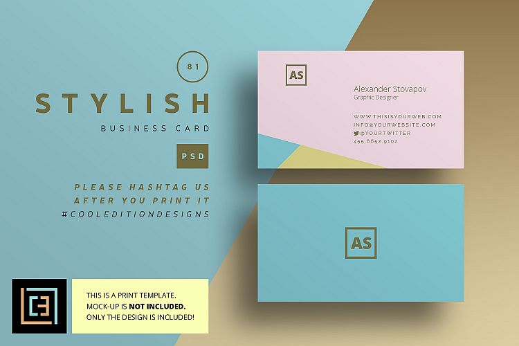 Stylish Business Card - BC081