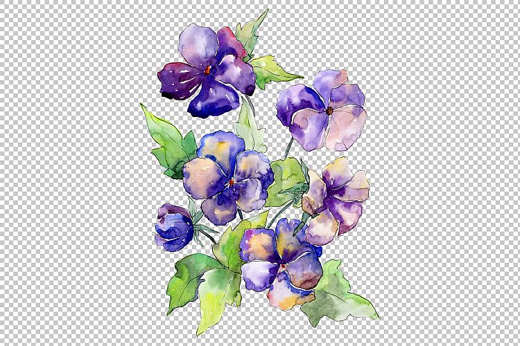 Watercolor bouquet of purple viola PNG set
