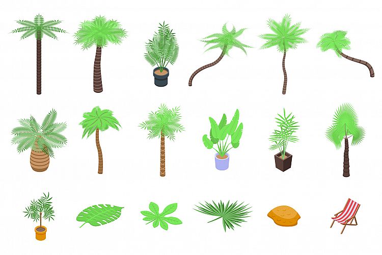 Palm tree icons set, isometric style example image 1