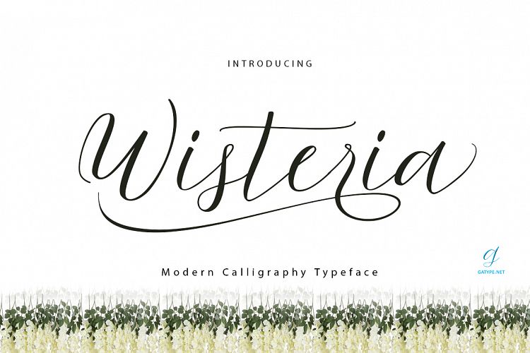 Wisteria Script