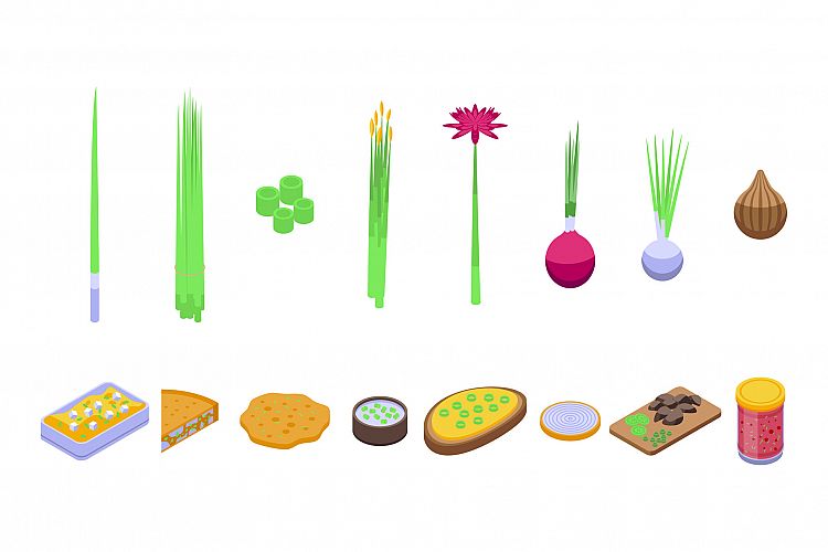 Chives icons set, isometric style example image 1