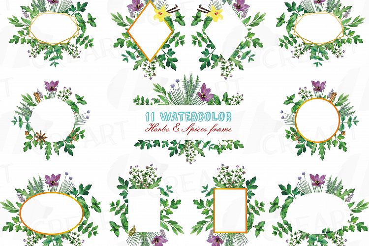 Herbs and Spices frames watercolor clip art pack, watercolor herb leaves borders. PNG, jpg, svg, vector illustrator & corel files included