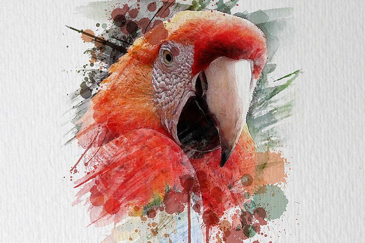 Watercolor effect-03