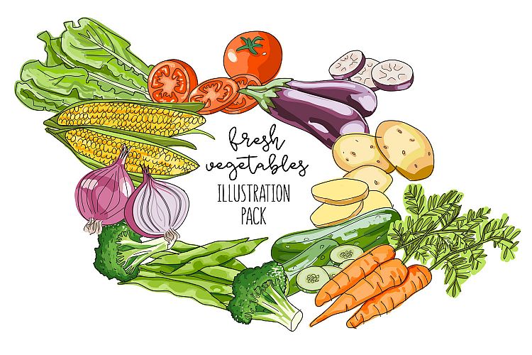 Vegetables Illustration vector pack