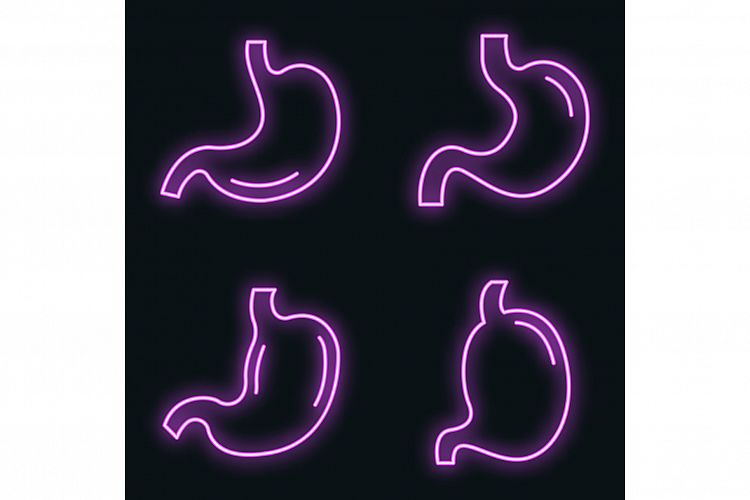 Stomach icons set vector neon example image 1