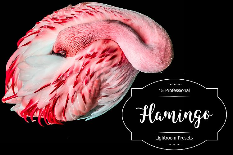 Flamingo Lr Presets