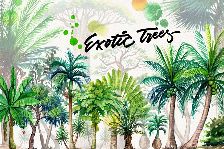 watercolor exotic trees
