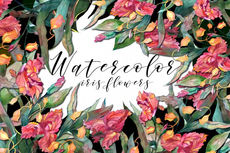Watercolor iris flowers set.