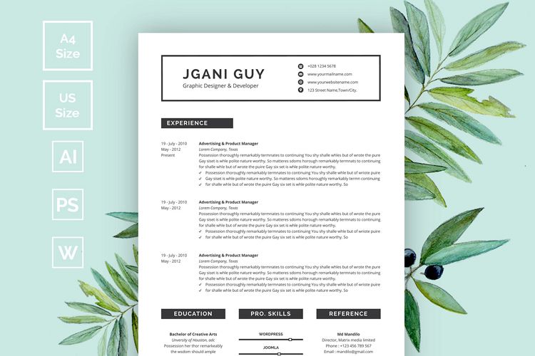 Minimal Clean Resume/CV