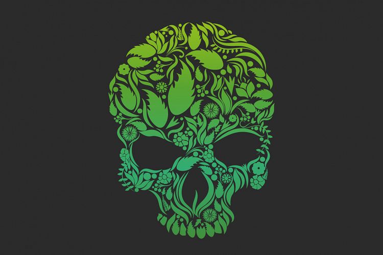Herbs Skull