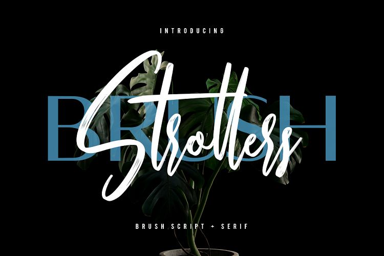 Strollers Typeface