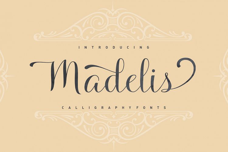 Elegant Fonts Image 7