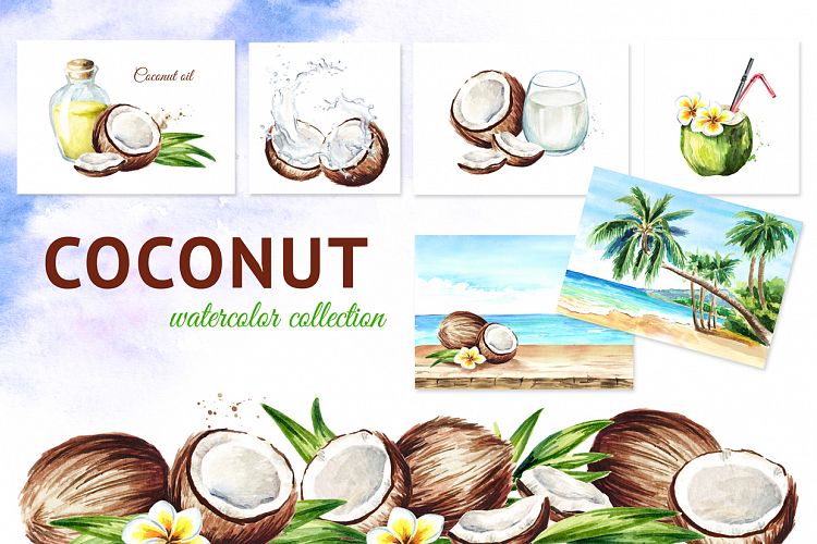 Coconut. Watercolor collection