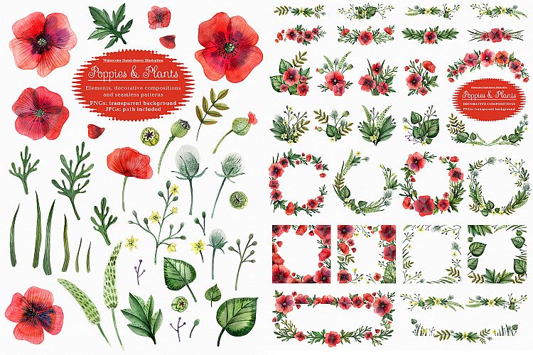 Poppies and wild plants