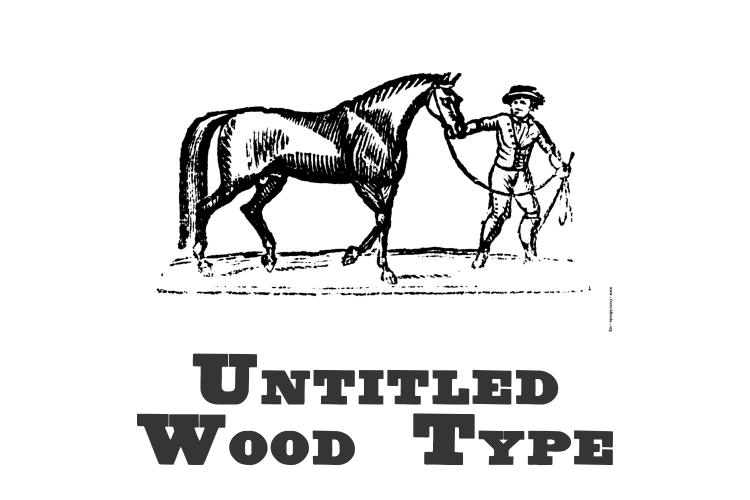 Untitled Wood Type