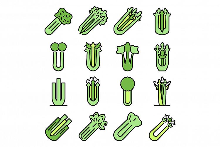 Celery icons set vector flat example image 1