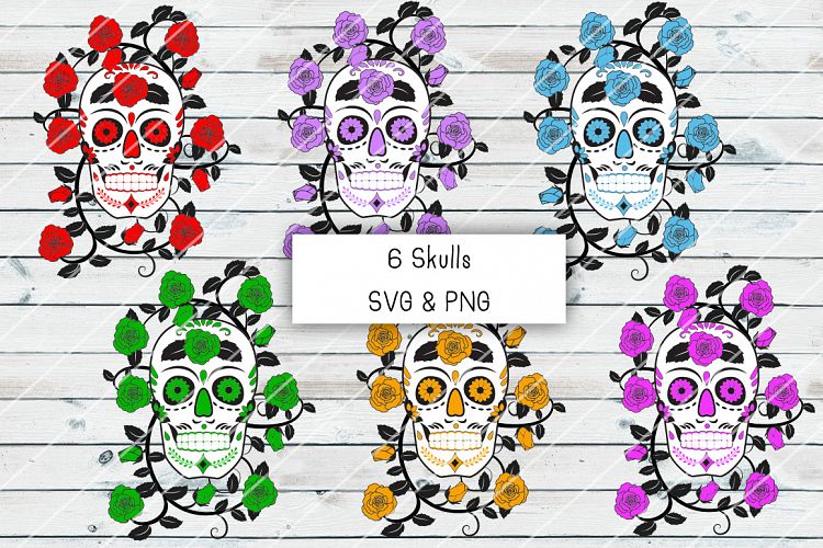 Skulls & Rose Vine