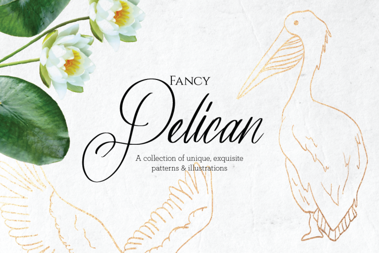 Fancy Pelican Collection