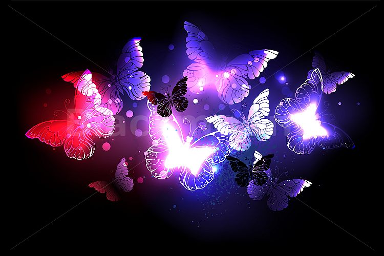 Swarm of Night Butterflies