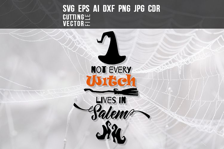 Not Every Witch Lives in Salem - svg, eps, ai, dxf, png, jpg