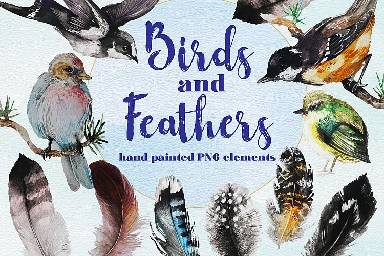 Birds And Feathers Hand Painted Watercolor Clip Art Set