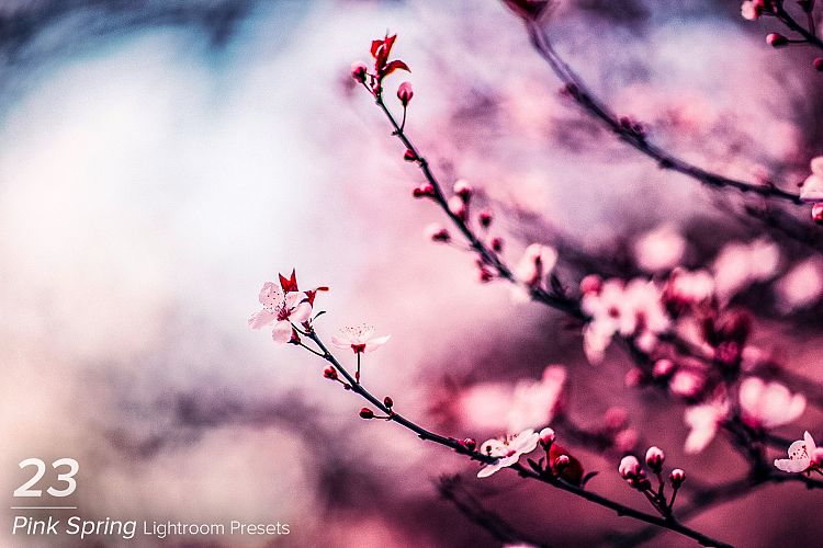 23 Pink Spring Lightroom Presets