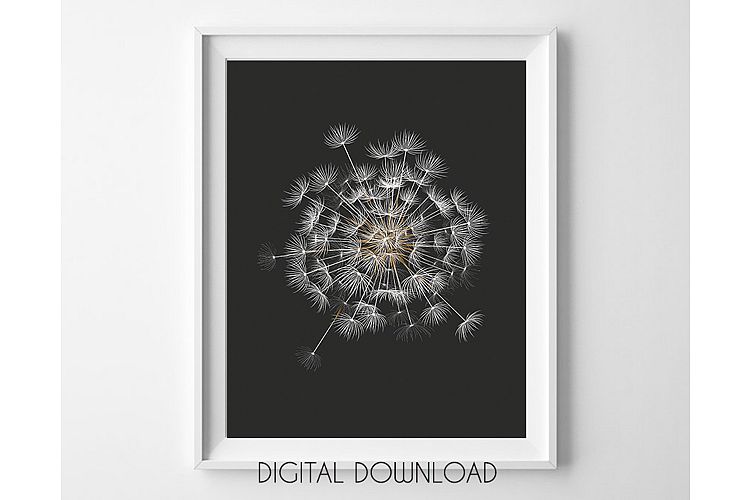 Dandelion Printable, Black Background Botanical Prints