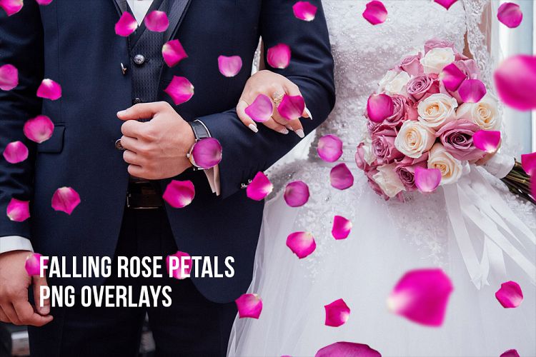 Rose Petal Overlay