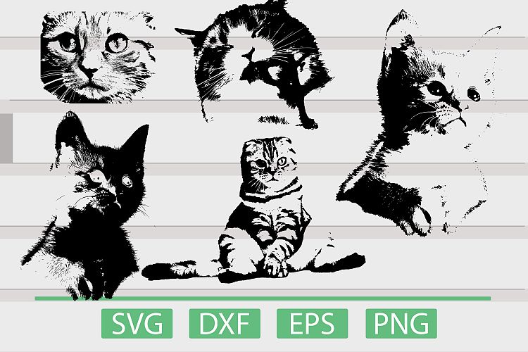Cat SVG