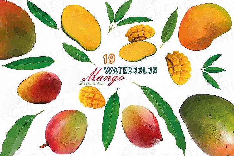 Watercolor Mango clip art pack, mango leaves and fruit 