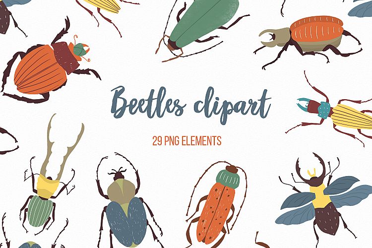 Beetles png clipart, Baby nursery, Insect png elements