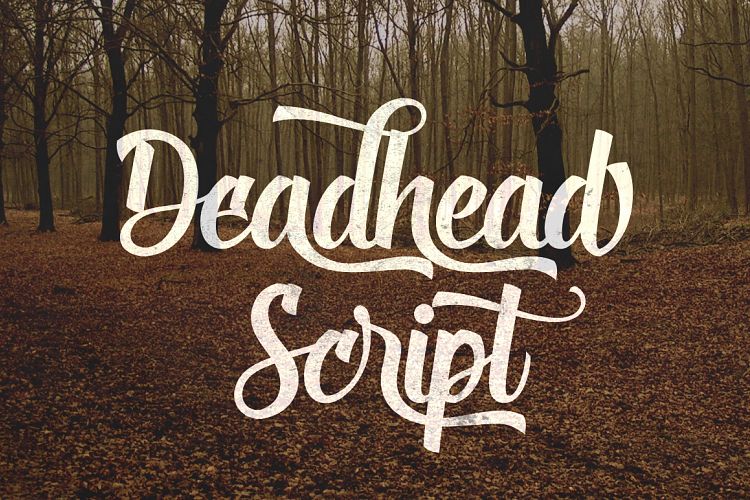 Deadhead Script