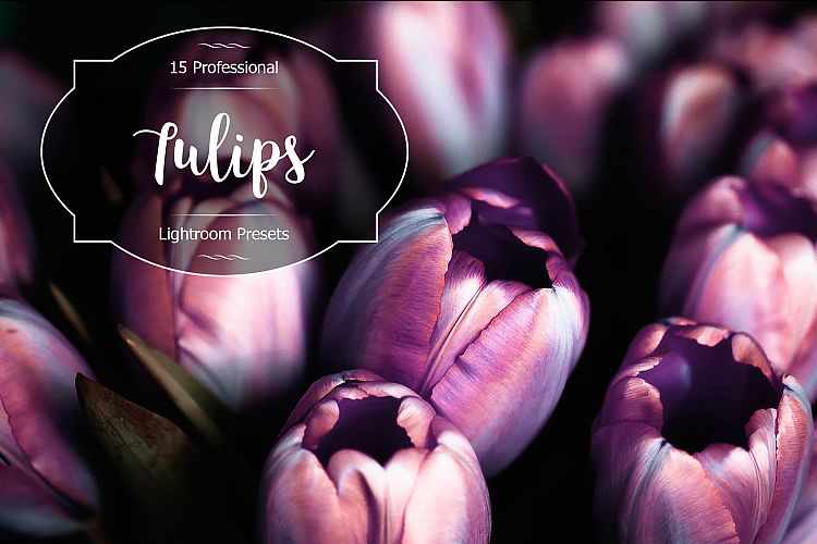 Tulips Lr Presets