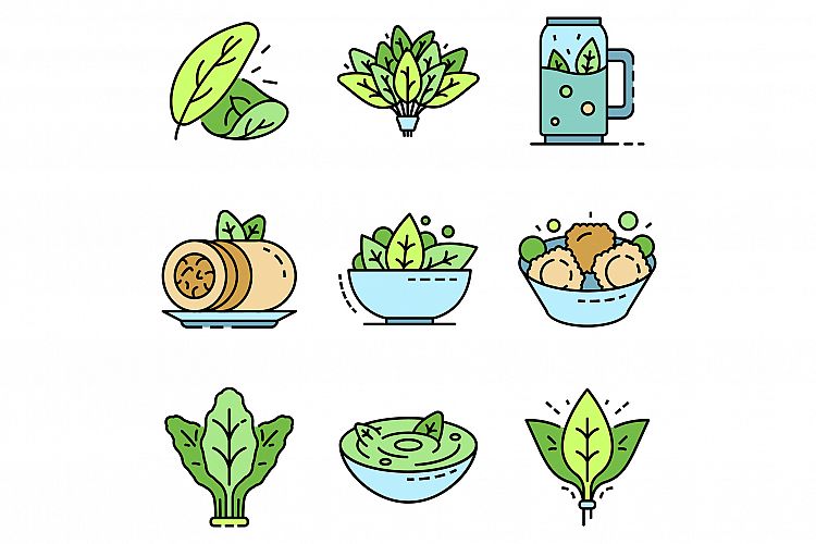 Spinach icon set line color vector example image 1